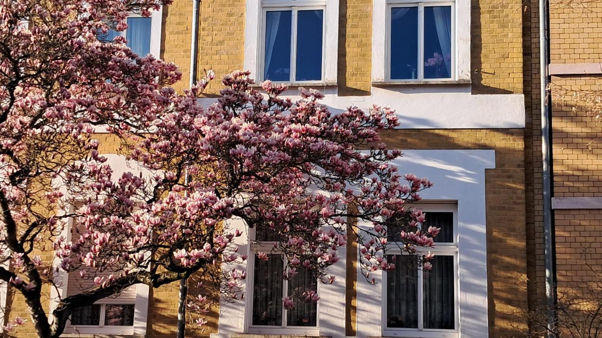 Ferienwohnung Rosi Naumburg  Exterior foto